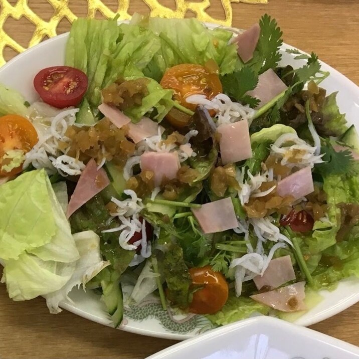 パクチーサラダ
